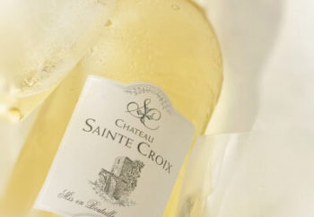 vin blanc Provence Château Sainte Croix
