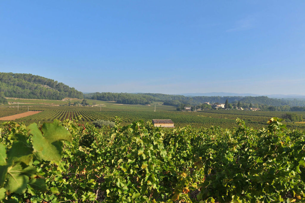 chateau sainte croix vignoble var