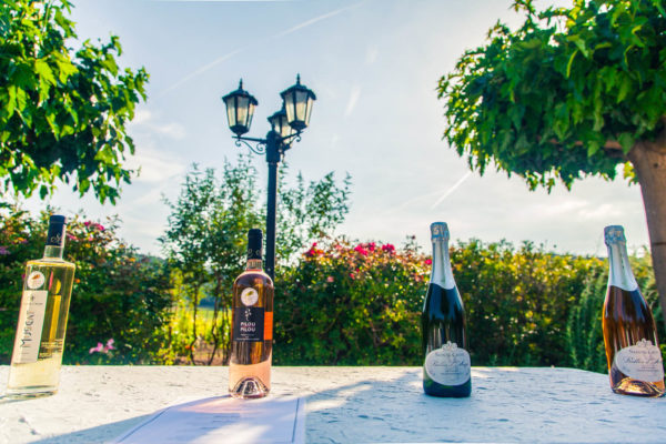 bulles d'anges Château Sainte Croix vignoble var