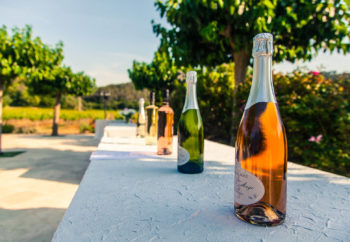 bulles d'anges Château Sainte Croix vignoble var