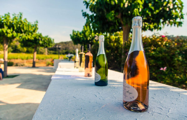 bulles d'anges Château Sainte Croix vignoble var