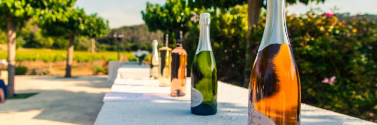 bulles d'anges Château Sainte Croix vignoble var