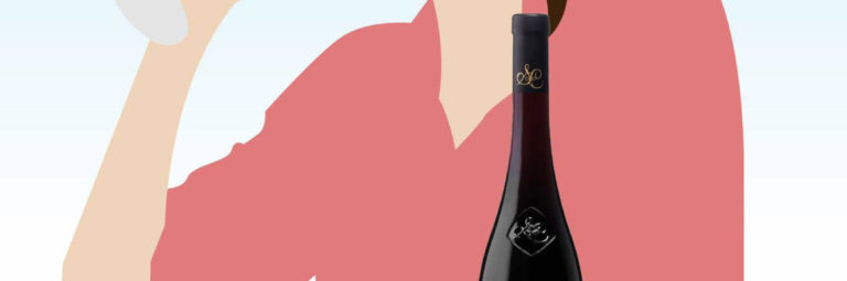 conseils pour bien choisir son vin Château Sainte Croix vignoble var