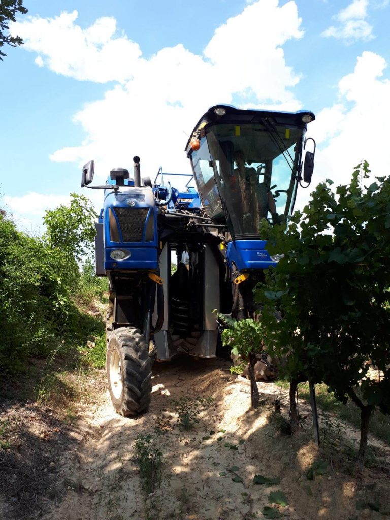 vendanges 2018 au domaine Sainte Croix à Carcès