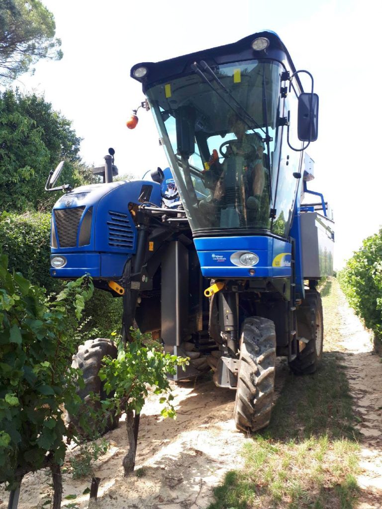 vendanges 2018 au domaine Sainte Croix à Carcès