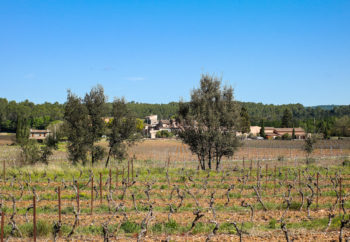 vue lointaine du Château Sainte Croix domaine viticole en Provence