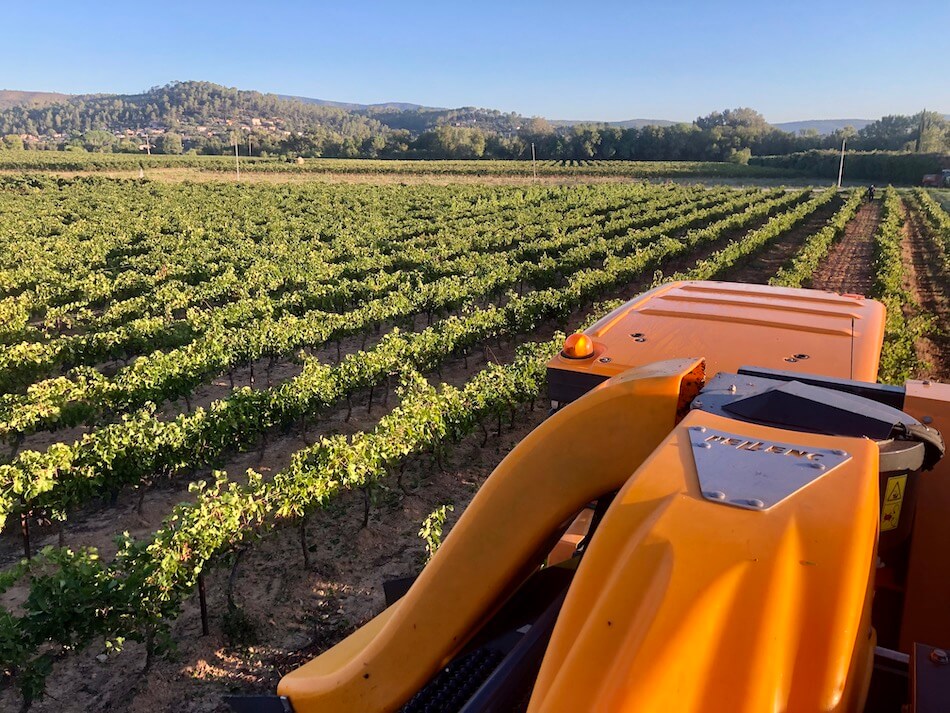 vignes dans notre domaine à Carcès